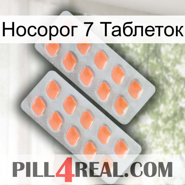 Носорог 7 Таблеток 27.jpg